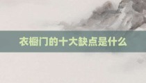 衣橱门的十大缺点是什么