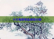 十大电钢琴品牌排行榜