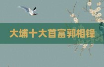 大埔十大首富郭相锋
