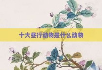 十大昼行动物是什么动物