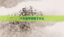 十大歌手领悟了什么