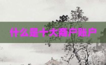 什么是十大商户账户