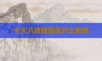 十大八项规定是什么意思