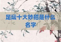 足坛十大妙招是什么名字
