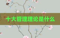 十大管理理论是什么