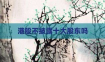 港股不披露十大股东吗