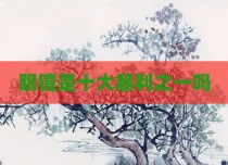 眼镜是十大暴利之一吗