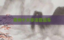 贵州十大非法营运车