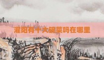 灌阳有十大碗菜吗在哪里