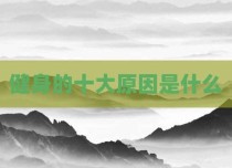 健身的十大原因是什么