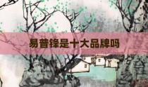 易普锋是十大品牌吗