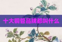 十大铜管品牌都叫什么