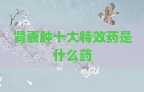 肾囊肿十大特效药是什么药