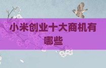 小米创业十大商机有哪些