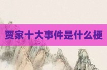 贾家十大事件是什么梗