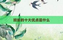 班长的十大优点是什么