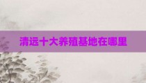 清远十大养殖基地在哪里