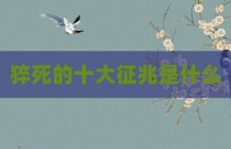 猝死的十大征兆是什么