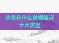 许华升什么时候被评十大杰出
