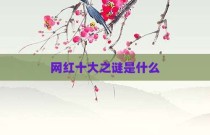 网红十大之谜是什么
