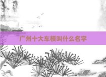 广州十大车模叫什么名字