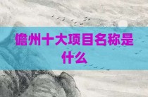儋州十大项目名称是什么