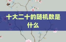 十大二十的随机数是什么