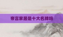帝言家居是十大名牌吗