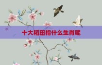 十大稻田指什么生肖呢