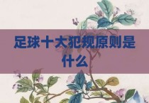 足球十大犯规原则是什么