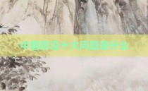 中国前沿十大问题是什么