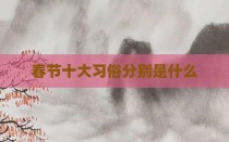 春节十大习俗分别是什么