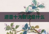 避雷十大要诀是什么