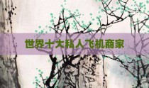 世界十大私人飞机商家
