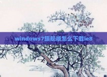 windows7旗舰版怎么下载ie8