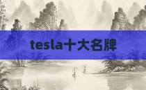 tesla十大名牌