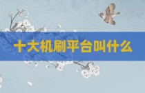 十大机刷平台叫什么