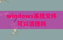 windows系统文件可以清理吗