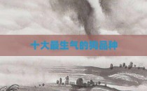 十大最生气的狗品种