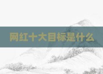 网红十大目标是什么