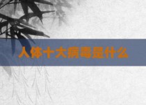人体十大病毒是什么
