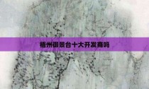 梧州御景台十大开发商吗