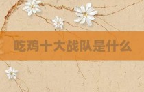 吃鸡十大战队是什么
