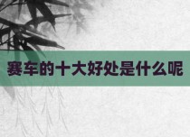 赛车的十大好处是什么呢
