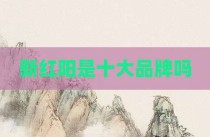 新红阳是十大品牌吗