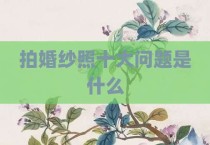 拍婚纱照十大问题是什么