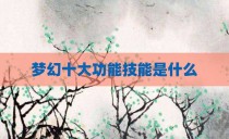 梦幻十大功能技能是什么