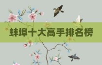 蚌埠十大高手排名榜