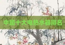 中国十大电热水器排名