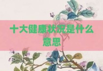 十大健康状况是什么意思
